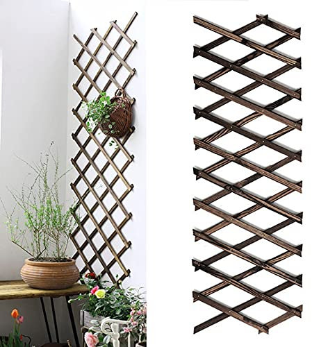 Traliccio da Giardino, Pino Estensibile Staccionata in Legno per Sostegno a Muro di Fiori e Piante Rampicanti 6.5ft × 1ft Marrone