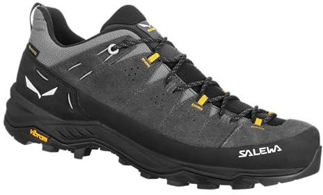Salewa ALP Trainer 2 GTX M