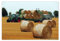 Generic H8582M_PL1DK Wanddekoration, Traktoren auf dem Feld, 93 x 62 cm, Poster