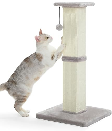 PETEPELA Kratzsäule groß 81 cm Sisal-Kratzstamm für Katzen | Stabiler Kratzstamm für Wohnungskatzen mit großer Bodenplatte und Spielball