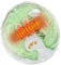 Portable Hand Warmers, Instant Heat Pack, Reusable Heating Pads, Instant Hot Gel Pad, Hand Warmer Gel Packs, Cold Weather Heat Packs, Camping Heat Packs, Outdoor Instant Hand Warmers,