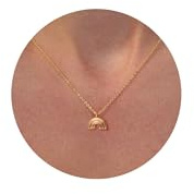 HANLI 14K Gold Vergoldet Halsketten Damen Zarte Horn Davidstern Schmetterling Sonne Lotus Volleyball Baseball Cowboystiefel Anhänger Kette mit für Frauen Mädchen Wasserfeste Hautverträglich Schmuck