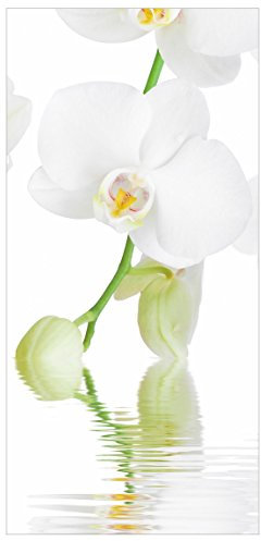 Bilderwelten Raumteiler Top Raumtrenner Orchidee Blumenbild 250x120cm + transp. Halterung