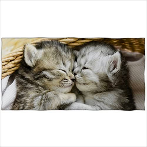 Zomer Strandtuch 70x140cm,Bedrucktes Mikrofaser Badetuch-EIN Paar Süße Katzen