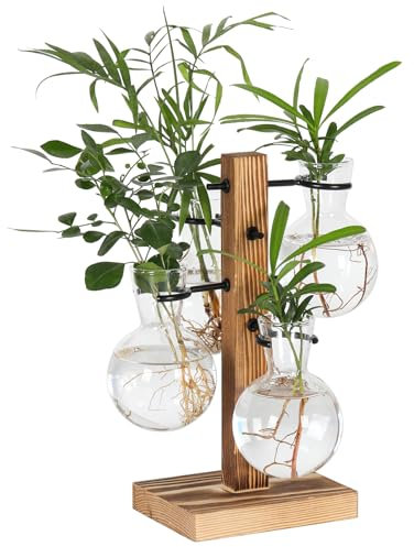 PAG-Mass Plant Terrariums Kit Desktop Hydroponics Air Planter Holder with 4 Light Bulbs Glass Vase,Propagation Stations Terrarium For Water Plants Home Garden Office Decoration Accessories