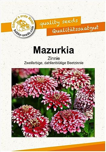 Blumensamen Mazurkia Zinnie Portion