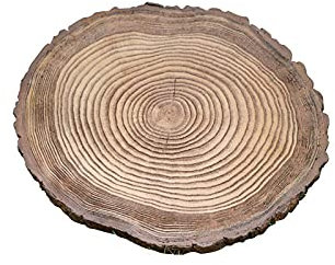 Trittstein aus Holzmaserung für Garten und Rasen, schöne Gartenkunst und -dekoration (braun)