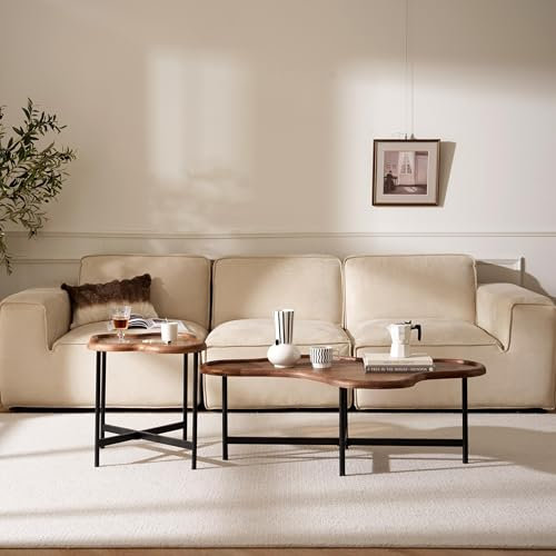 Cagnolier Juego de 2 mesas de café, mesa auxiliar de cristal, salón en forma de nube, con borde elevado de cristal de seguridad y patas ajustables, 118 x 77 x 40 cm