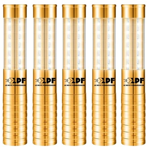 LPF LE PETIT FOURNISSEUR - Lot de 5 Bâtons LED Lumineux Bouteille Rechargeable – 3 Modes d’Éclairage (Strob, Intense, Ambiance) – Alternative Fontaine Scintillante – Aluminium Anti-Choc - Doré