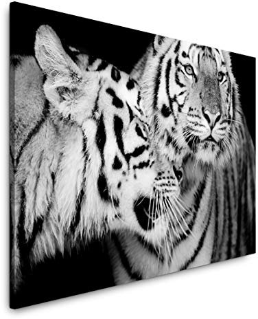 Paul Sinus Art Tiger Portrait 60 x 90 cm Inspirierende Fotokunst in Museums-Qualität für Ihr Zuhause als Wandbild auf Leinwand in