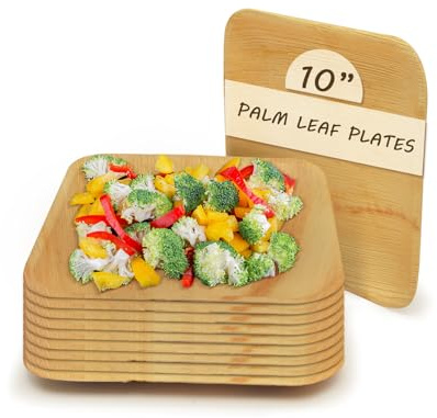 RelianceUK 25 Pack Square 10-Inch Big Size Natural Palm Leaf Paper Plates, Leaf Design Disposable Plates Large Dinner Plates Bamboo Plates
