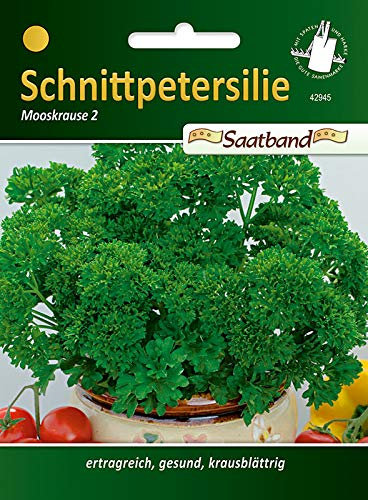 Schnittpetersilie Petersilie Mooskrause 2 Saatband