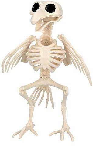 Boland 72406 - Vogel-Skelett, Größe 20 cm, beweglicher Mund, Attrappe aus Kunststoff, Dekoration für Halloween, Karneval oder Mottoparty
