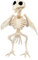 Boland 72406 - Vogel-Skelett, Größe 20 cm, beweglicher Mund, Attrappe aus Kunststoff, Dekoration für Halloween, Karneval oder Mottoparty