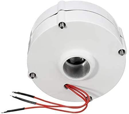 Motore Generatore di Turbina Eolica, 6000W 12V 24V per Regolatore di Lama di Turbina Eolica Fai-da-Te Motore Alternatore Generatore di Corrente Trifase