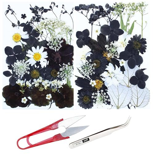 Cayway 60 PCS Bricolage Fleurs Séchées Ensemble Feuilles Naturelles Pressées à Sec, Noir et Blanc Fleurs Pressées Séchées Fleurs Sechees Naturelles pour L'artisanat d'art de Bricolage, Style C