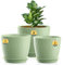 3 Pack Plastic Plant Pots,20/18/15CM,Flower Pot Large Plant Pots Indoor Outdoor Plastic Plant Pot with Drainage Holes and Tray for House Plant Flower(Light Green)