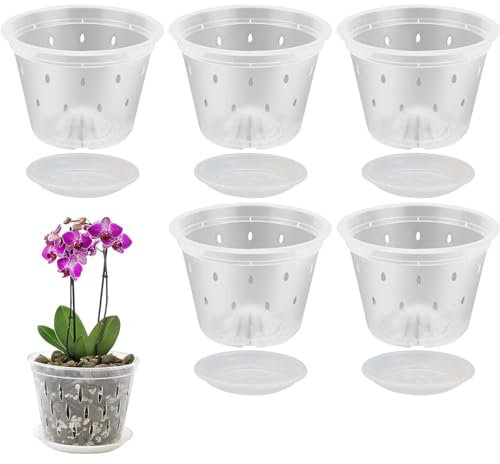 Sämlingstopf, Kunststoff, transparent, für Gemüse, Blumen, Kakteen, Sukkulenten, 11 cm, mit Löchern und Tablett, Blumentöpfe, 5 Stück