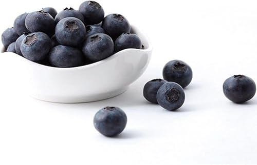 DreamyRetreat 20 Pcs Artificial Blueberries Plastic Fake Blue Berry Plants Realistic Artificial Blueberry Plants for Home Wedding Office Party Kitchen Cabinet Artificial Plants and Flowers