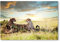 Postereck - 0782 - Geparden, Natur Tiere Katzen Afrika Nationalpark - Wandposter Fotoposter Bilder Wandbild Wandbilder - Poster - 3:2-61,0 cm x 40,5 cm