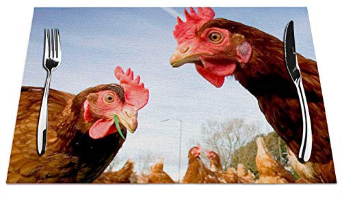 Tischsets mit Huhn-Motiv, 4 Stück, lustiges Huhn, grünes Gras, hitzebeständig, für Esstisch, rutschfest, 45,7 x 30,5 cm