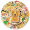 Golden Retriever Aufkleber für Laptop(50 PCS),Geschenk für Kinder Teens Erwachsene Jungen,Hund Stickers wasserdichte Vinyl Aufkleber für Scrapbook,Skateboard,Auto,Gepäck