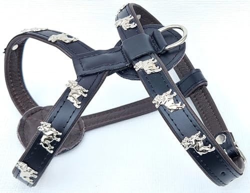 Bully Französische Bulldogge French Bulldog Frenchie Geschirr Brustgeschirr Echt Leder - Schwarz-Dunkel Braun Brustkorb 47-55cm