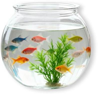 Labyrinxel Mini Plastic Fish Bowl 27 Oz Round Fish Vase for Home Decor Party Centrepiece and Hydroponic Plants