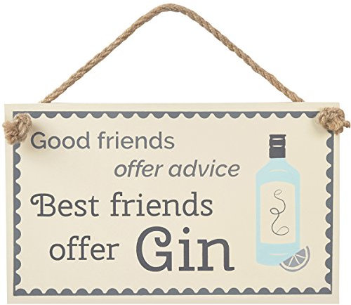 Transomnia Gin Plaque - Good friends offer advice Best friends offer Gin