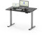 FLEXISPOT Höhenverstellbarer Schreibtisch mit 2 Motoren & 25MM einteiliger Tischplatte,ergonomischer Bürotisch - 120 x 80 cm Schwarz, graues Gestell