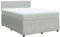 vidaXL Boxspringbett, Doppelbett mit Matratze Matratzenauflage, Bettgestell mit Lattenrost Kopfteil, Polsterbett Bett für Schlafzimmer, Hellgrau 160x200cm Samt