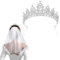 Kristall-Tiara Krone Hochzeit Tiara,Schleier Kurz Bridal Tüll Mit Kamm,Braut Hochzeit Kurzer Schleier,Strasskrone Prinzessin Kristall,Tiara Stirnband Brautschmuck Krone Für Hochzeit Geburtstag