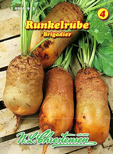 Runkelrübe, Brigadier orangefarbig N.L.Chrestensen Samen 29908913