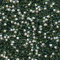 50 cristales de Swarovski con fondo cónico 2,45 mm - Color Green Turmaline F - 1028 PP18 TU