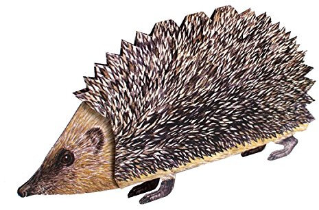NIEDLICHER IGEL 3 D Pop-Up-Karte/Glückwunschkarte mit einem freundlichen Igel