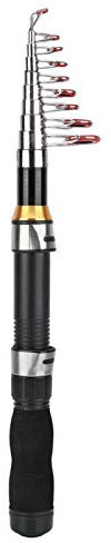 Mini Taschen Angelrute Pen Angelrute für Seefischerei Salzwasser Süßwasserfischen(2.1m)