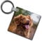 Hippowarehouse Personalised Keyring Keychain Keys Photo Ring Gift Photograph Mothers Fathers Day Gift Keepsake Memory Custom Made Birthday Present Valentines Wedding Gift 5cm x 5cm