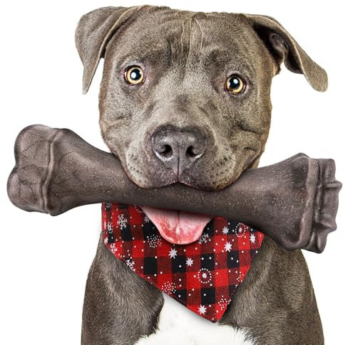 Hundespielzeug für aggressive Kauer, unzerstörbare Hundeknochen für aggressive Kauer, robustes Kauspielzeug für schwere Hunde, Zahnspielzeug für große Hunde mit strapazierfähigem Nylon für große und