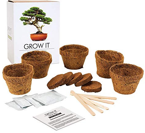 MonsterCadeaux Arbre Bonsai à Planter Soi-même, Set pour Plante Japonaise avec Semences