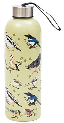 Eco Chic Bouteille thermique réutilisable | Bouteille de voyage isotherme en acier inoxydable avec couvercle anti-fuite | Utilisable pour boissons chaudes et froides (Oiseaux sauvages Vert)
