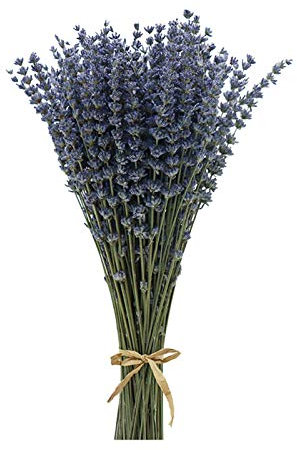 CoolCrafts Getrocknete Lavendel Bündel 100 Stiele Getrockneter Lavendelstrauß Deko