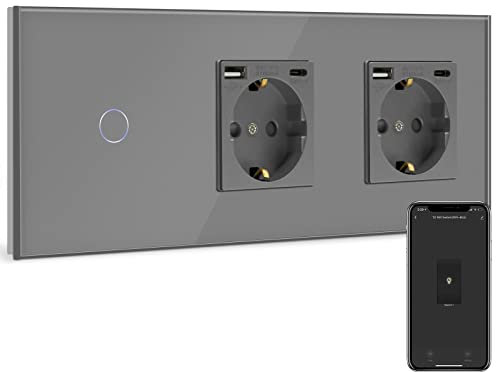 BSEED Doble Enchufe Normal con Interruptor de luz WiFi Gris,Compatible con Alexa y Google Home,Control de APP,1 Gang WiFi Interruptor,Enchufe con 1 Puerto Tipo C y 1 Puerto USB(Neutral Requerido)