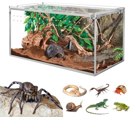 Smartang smartang Acryl-Tarantelgehege, Terrarium mit Magnetknopf, 20,3 x 10,2 x 10,2 cm, Dickes Isopodengehege, Spinnenkäfig, Terrarium für Reptilien, Eidechsen, Jugendliche Vogelspinnen usw