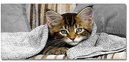 &ET Küchenläufer,Läufer Teppiche Mit Gummirücken 3D Gedruckte Katze Rutschfester Bodenteppich Indoor Badteppich Für Küche Esszimmer Home Dekorativ,40X120Cm (16X47 Zoll)