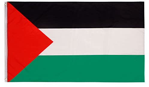 Aricona Palästina Flagge 90x150cm - wetterbeständige Fahne mit Messingösen, 100% Polyester, robuste Doppelnaht & in lebendigen Farben - ideal für Flaggen-Liebhaber, Palestinenser & Freunde