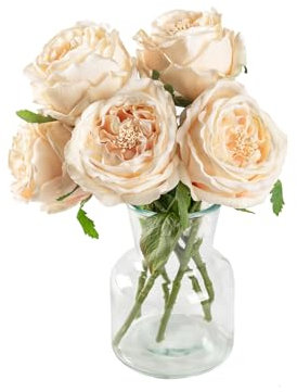 DuHouse Seidenrosen, künstliche Champagner Rosen mit Stielen, fühlen Sich echt an, künstliche Blumen für Arrangements, Hochzeiten, Partys, Heimdekoration, 5 Stück