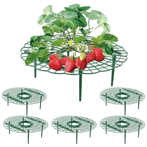 Wuyue Hua Paquete de 5 Soportes de Cultivo y Protección de Fresas - Soporte para Plantas de Fresa
