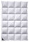 billerbeck Daunendecke | Nena | 140 x 220 cm | 100 % Daunen | Optimale Wärme- und Feuchtigkeitsregulierung | Allergiker geeignet | Wärmestufe warm