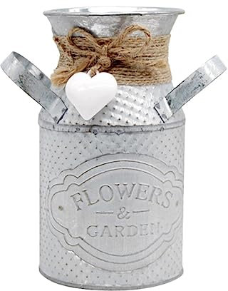 Luxshiny 1pièce Pot De Fleurs Rond Fer Blanc Support pour Plantes Succulentes Et Cactus Décoration De Jardin Bureau Et Maison Style Vintage Chic