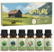 SoulOrigin Natürliche ätherische Öle Set, Duftöl Set für Öl Diffuser, Duftöle für Seifenkerze Herstellung 6x10ml frisches geschnittenes Gras, Bergluft, Bambus, Meeresbrise